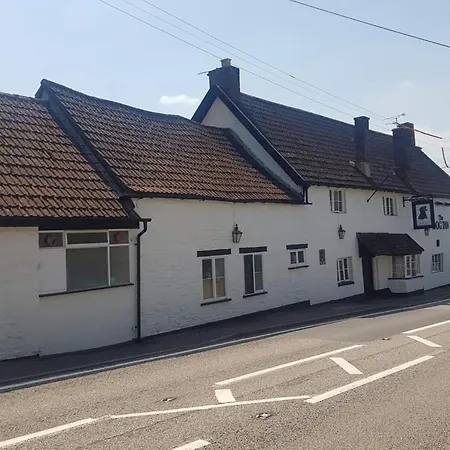 The Dog Inn-2